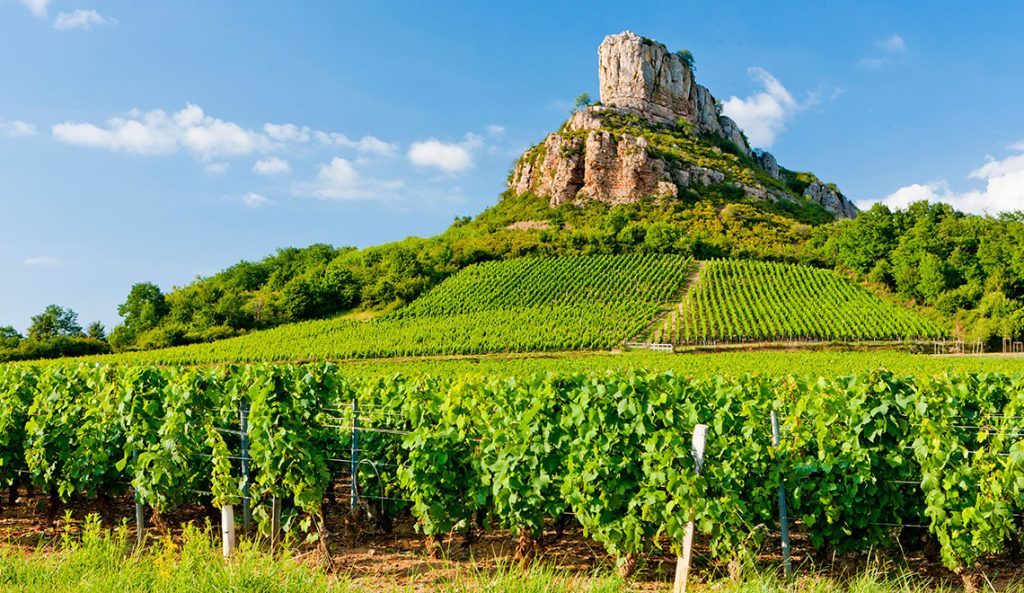 Bourgogne wijnglazen bourgogne streek