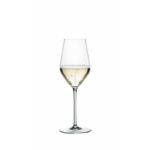 style champagneglas 310 ml